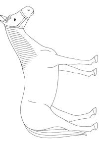 Ausmalbild Quarter horse  