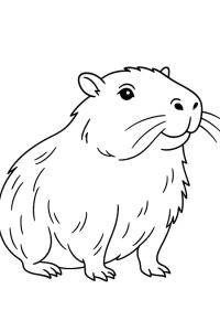 Ausmalbild Realistischer Capybara  