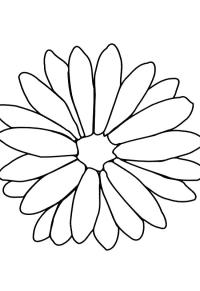 Ausmalbild Ringelblume  