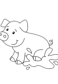 Ausmalbild Schwein im Matsch  