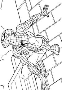 Ausmalbild Spiderman klettert auf ein Gebäude  