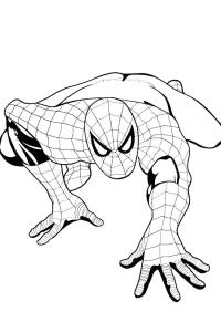 Ausmalbild Spiderman krabbelt  