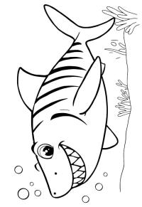 Ausmalbild Tigerhai  