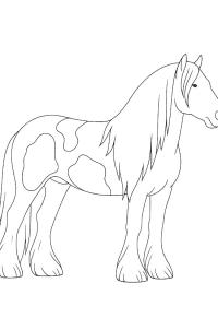 Ausmalbild Tinker Pferd  