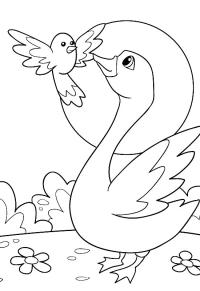 Ausmalbild Vogel und Schwan  