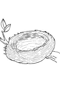 Ausmalbild Vogelnest  