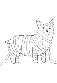 Ausmalbild Welsh Corgi Pembroke Hund als Mumie  