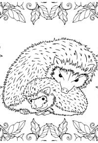 Ausmalbild Zwei Igel  